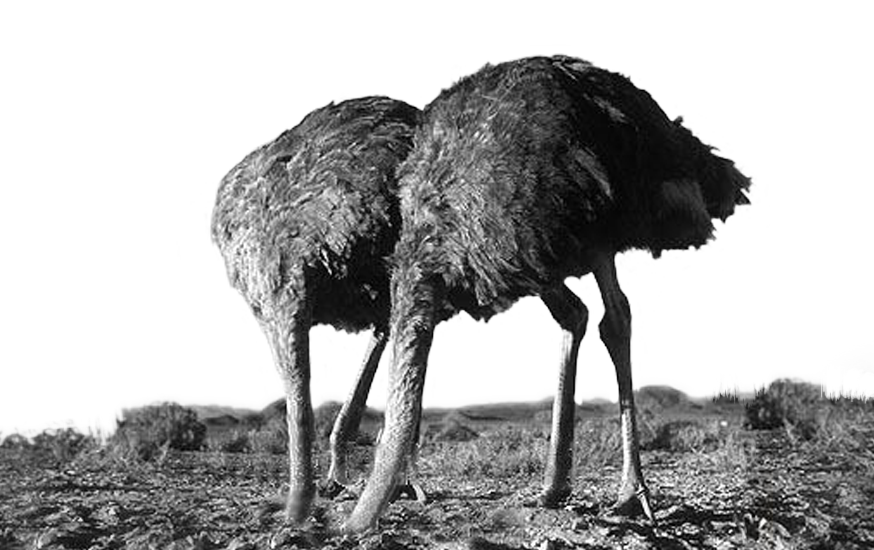 L’ÈRE DU DÉNI