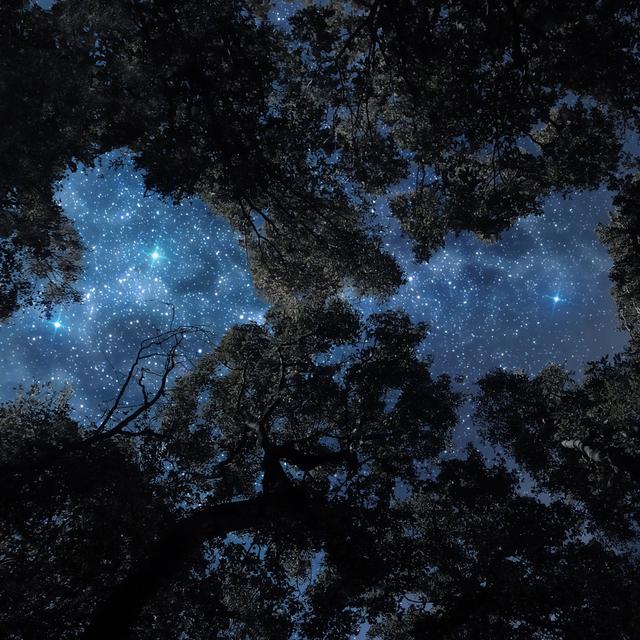 Neurodiversité ? Validisme ? Rien de plus normal