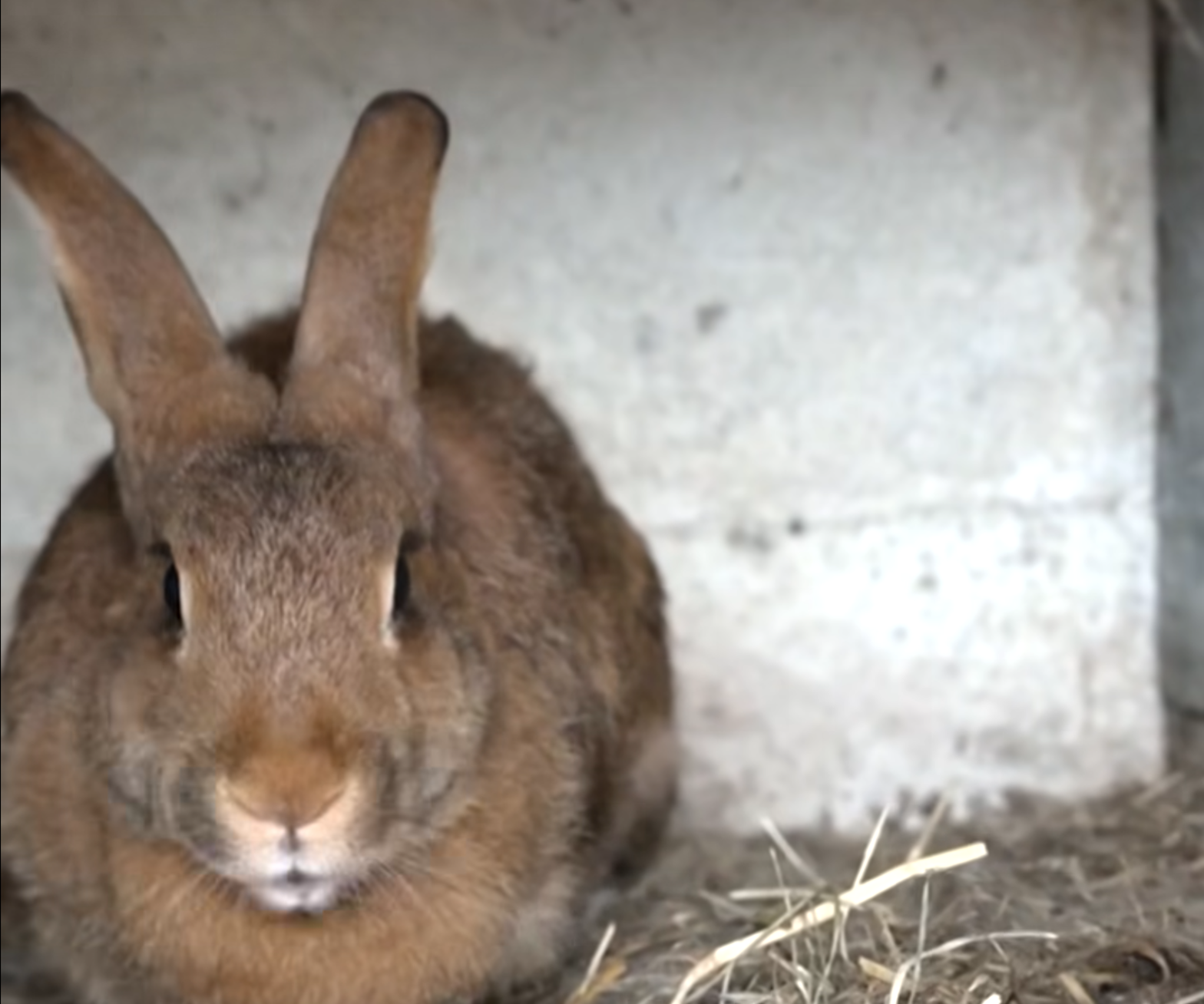 La terre de Clément